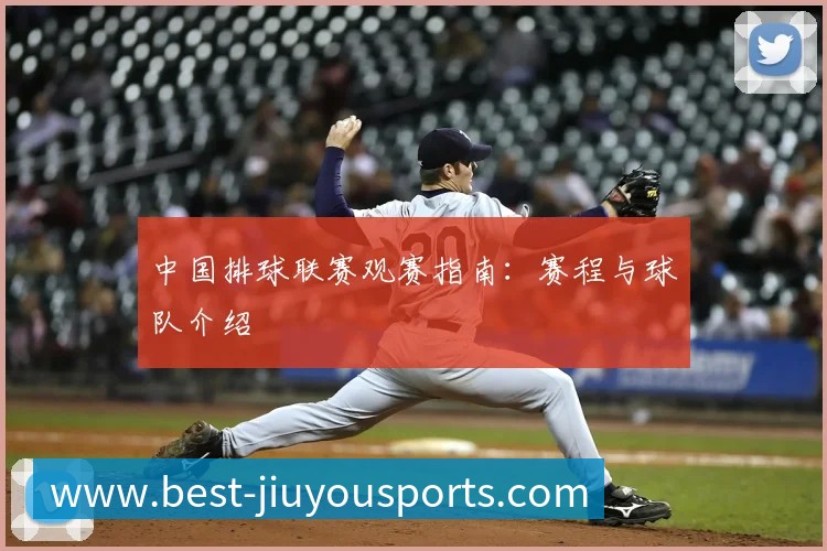 中国排球联赛观赛指南:赛程与球队介绍